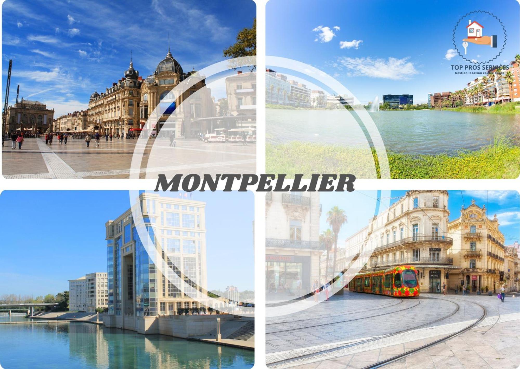 Le Cosy Wifi Clim Jardin Top Pros Servicesconciergerie Montpellier Exterior foto